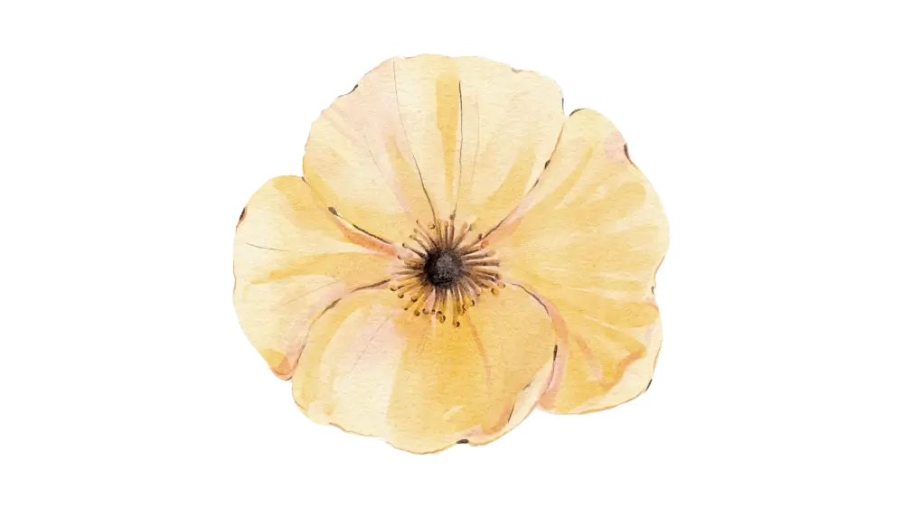 Body Glow - 120 min $210